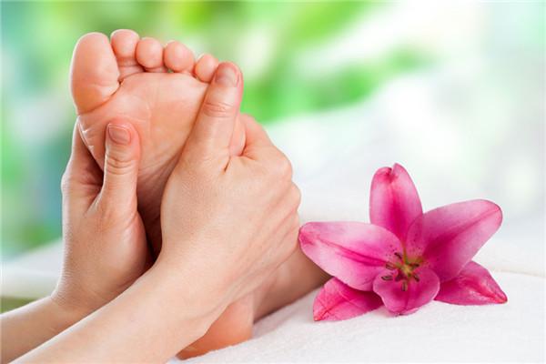 The Art of Social Wellness: Integrating Social Interactions for Holistic Health